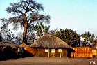 Baobab, pictures
