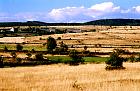 Paysage des Causses