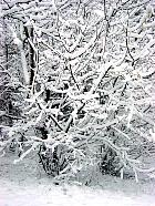 Parc Heller, Antony, paysage sous la neige