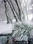 Parc Heller, Antony, paysage sous la neige