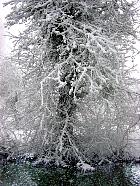 Parc Heller, Antony, paysage sous la neige