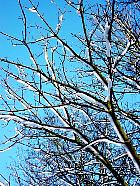 Parc Heller, Antony, paysage sous la neige