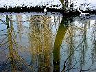 Parc Heller, Antony, paysage sous la neige