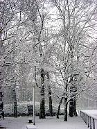 Parc Heller, Antony, paysage sous la neige