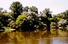 Bord de Loire, silhouette