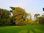 Marronnier, platane, tilleul, tulipier, catalpa, paysage