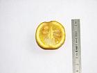 Trifoliate Orange, pictures
