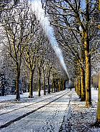 Platane, paysage sous la neige