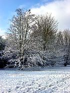 rable champtre, paysage sous la neige