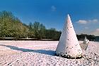 English Yew, Common Yew, snowy landscape