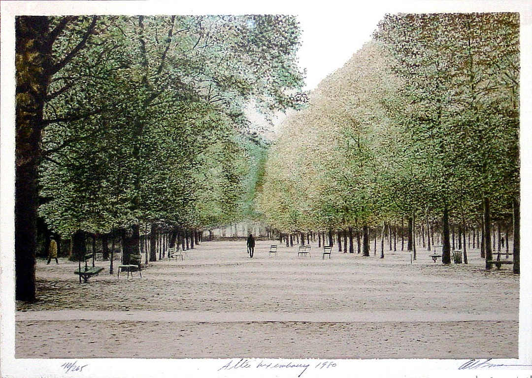 allee_du_luxembourg_ete.JPG