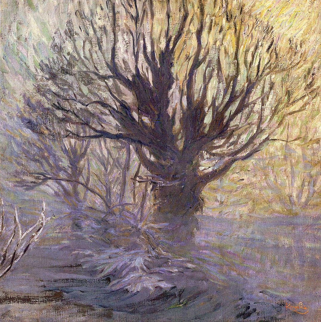 arbre.JPG
