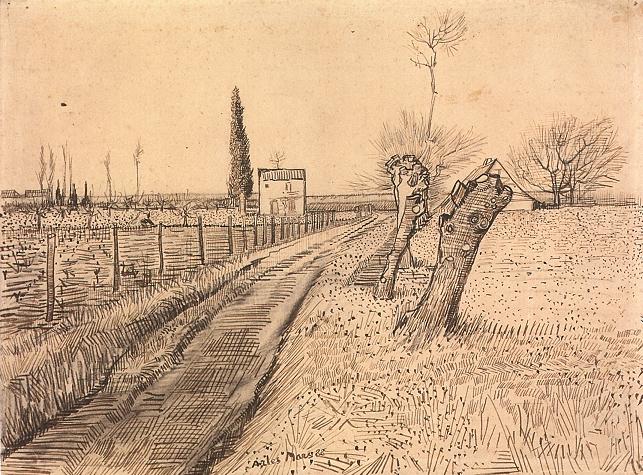 arbre_etetes.JPG