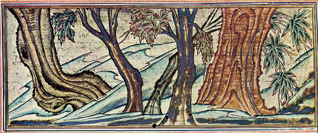 arbre_sacre_de_bouddha.JPG