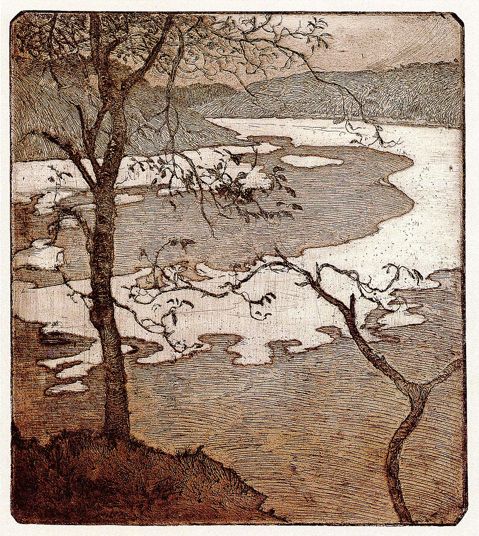 arbres_estuaire.JPG