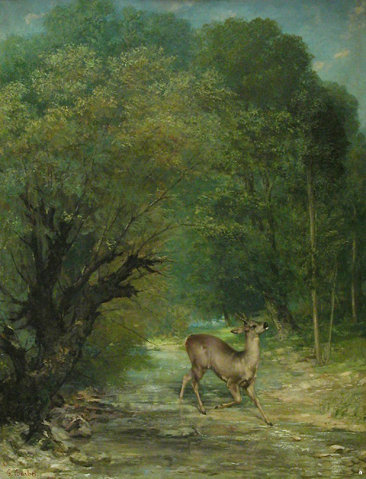 chevreuil_chasse.JPG