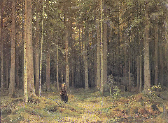 foret_mordvinova.JPG