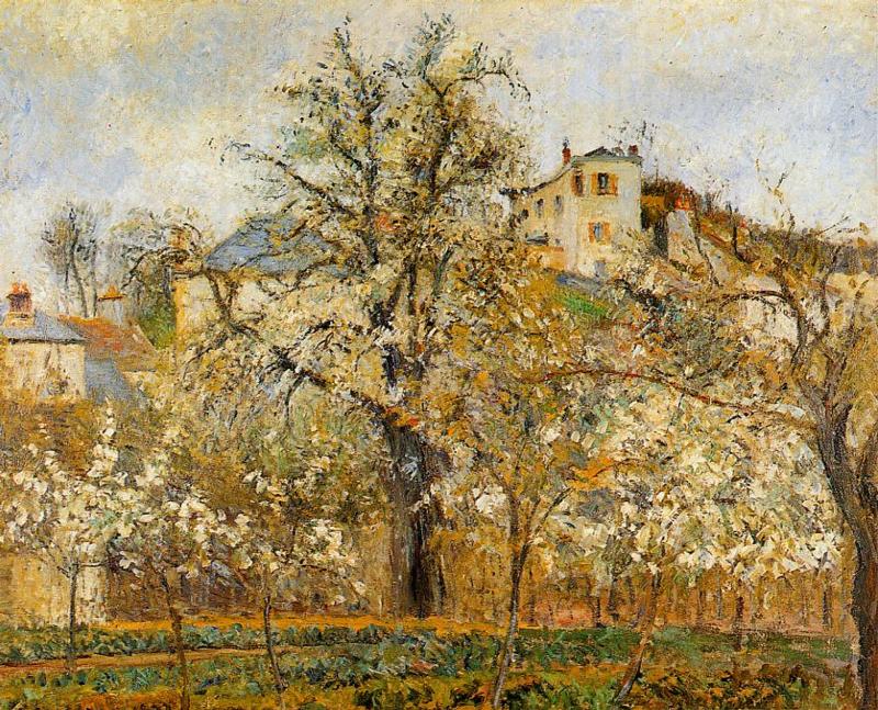 jardin_arbres_pontoise.JPG
