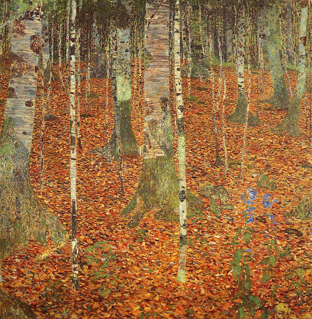 klimt_bouleaux.JPG