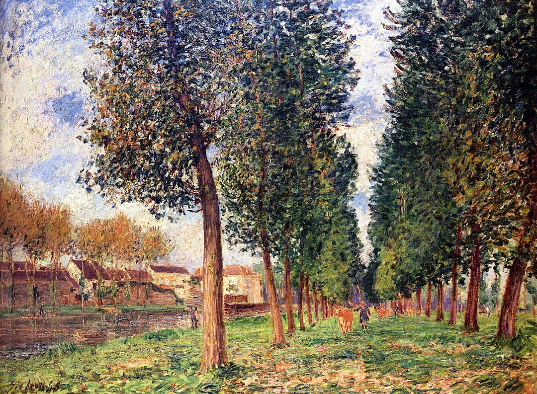 l_allee_des_peupliers_a_moret.JPG