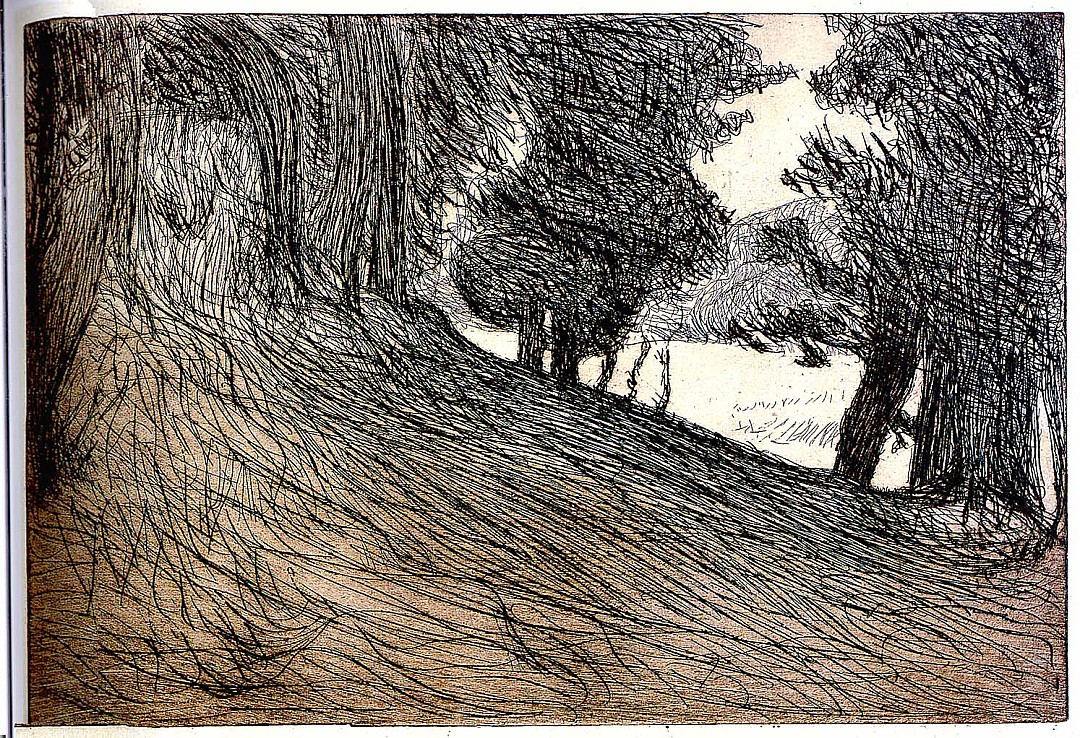 le_bois_pont_aven.JPG