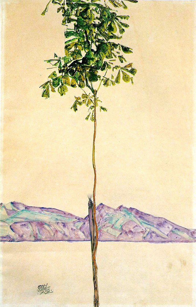 little_tree.JPG