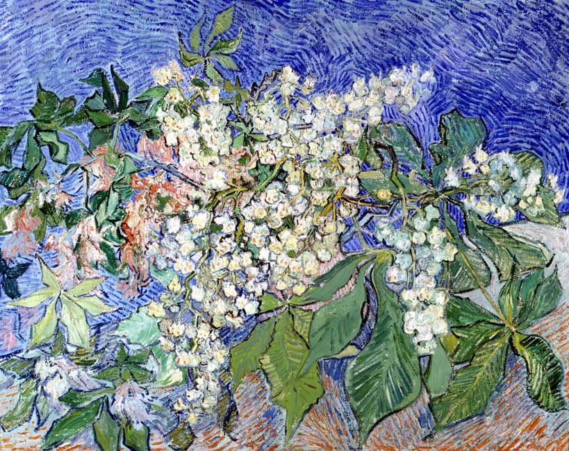 marronnier_en_fleur2.JPG