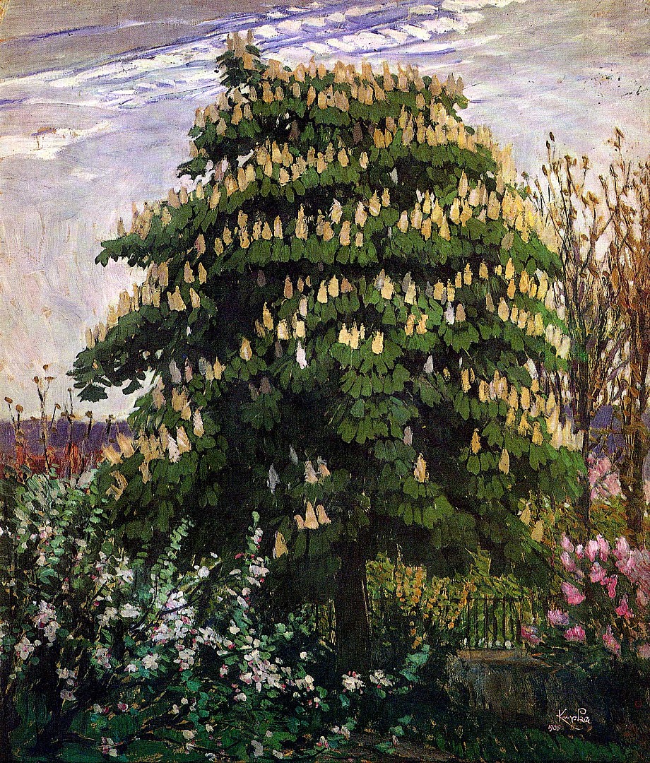 marronnier_en_fleurs.JPG
