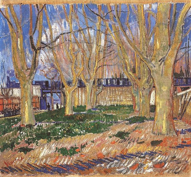 platanes-arles.JPG