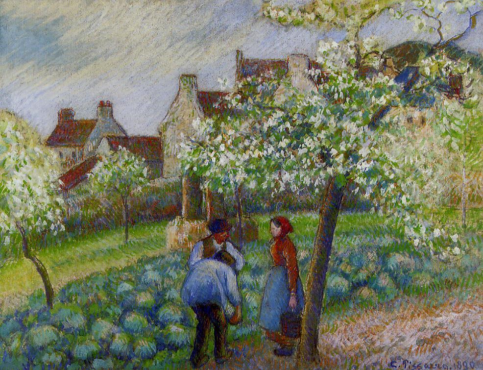 pruniers_en_fleurs.JPG