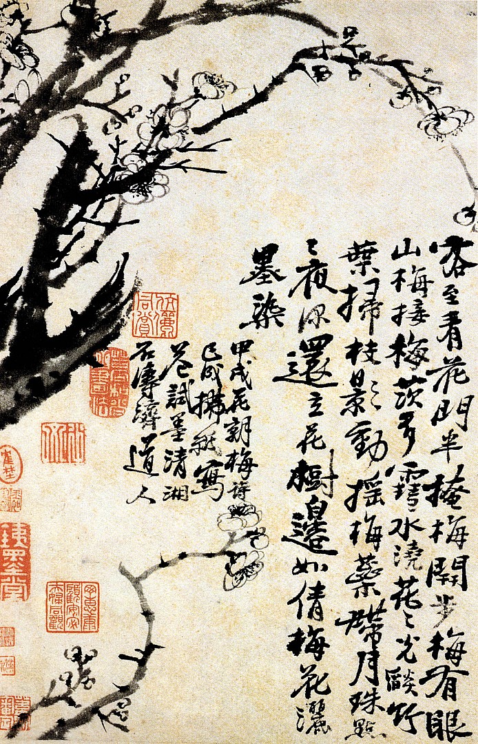 prunus_en_fleurs.JPG