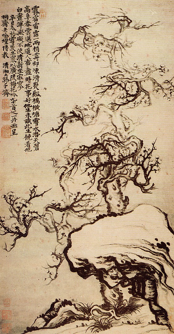 prunus_parmi_les_rochers.JPG