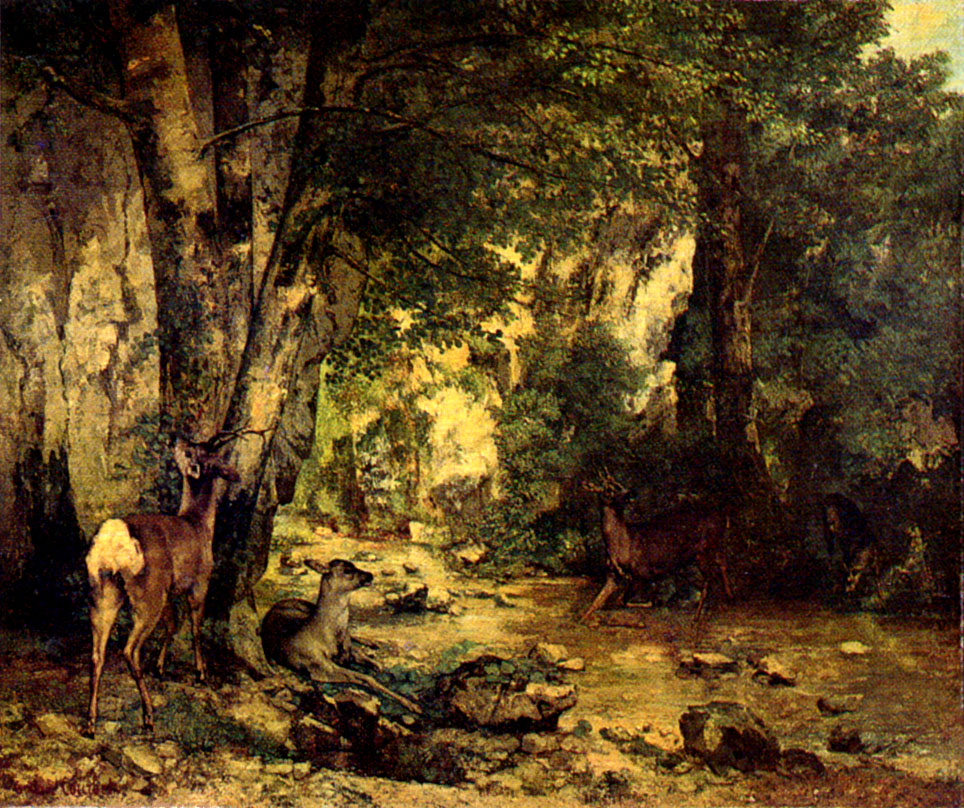 remise_de_chevreuils.JPG