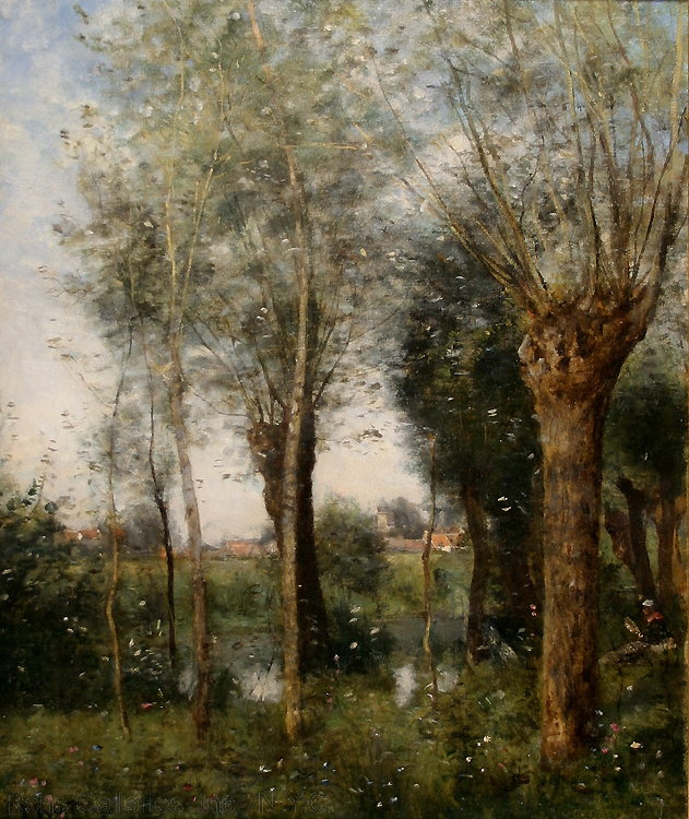 saulaie_a_saint_nicolas_pres_arras.JPG