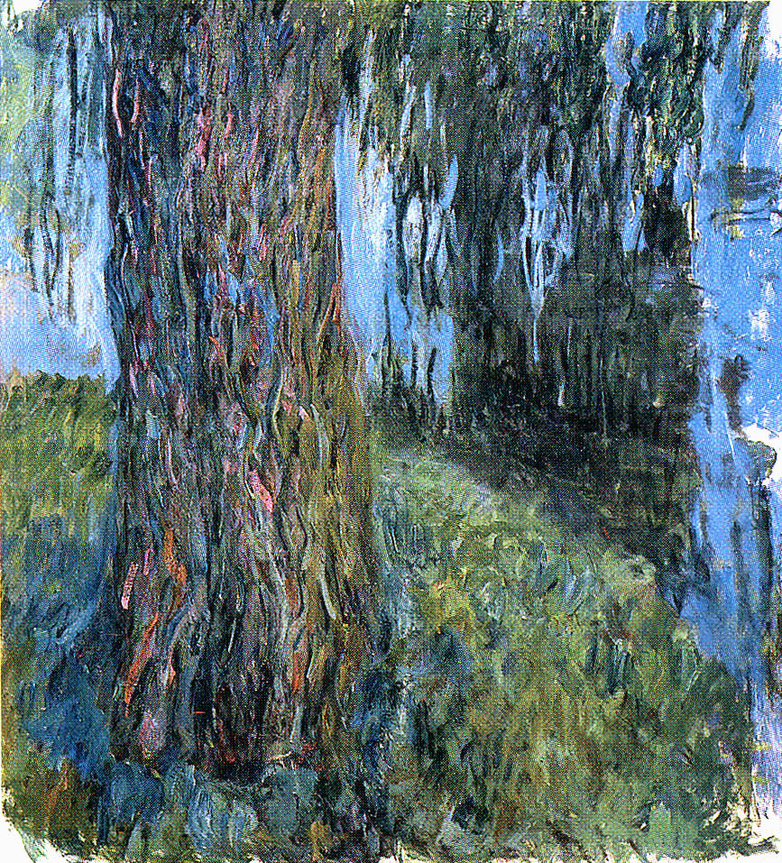 saule_beraud.JPG