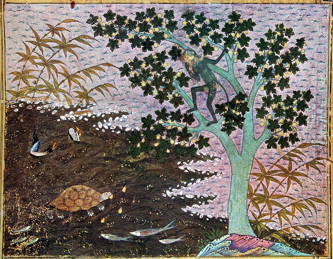 table_du_singe.JPG