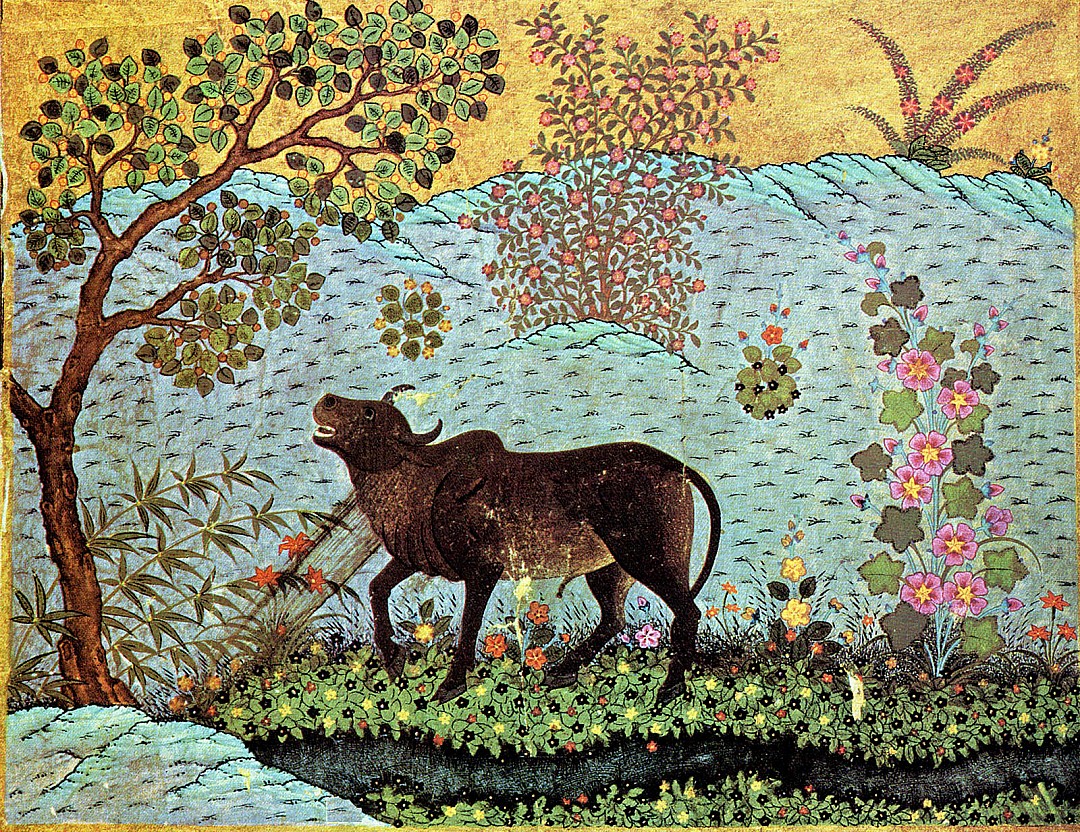 taureau_shanzabeh.JPG