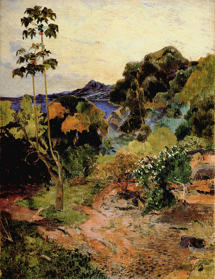 vegetation_tropicale.JPG