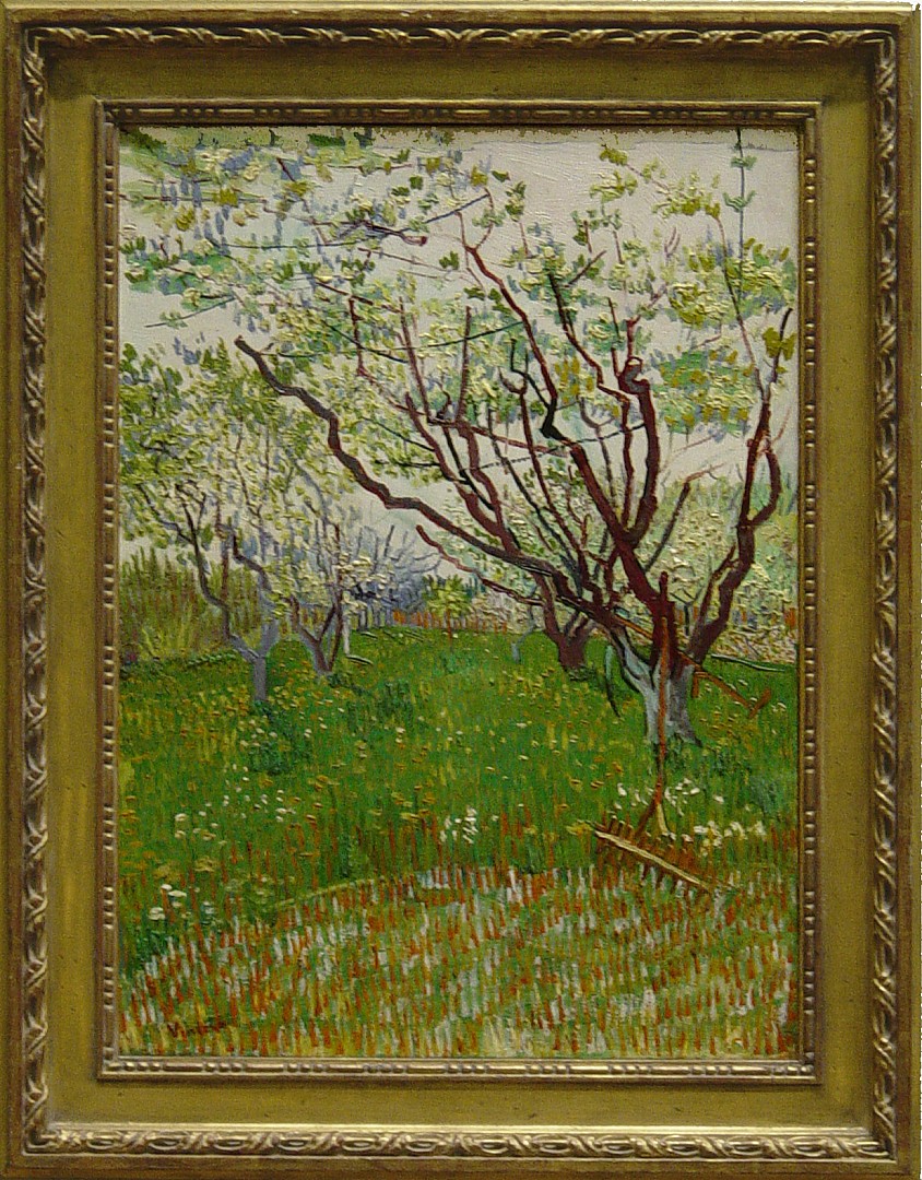 verger_en_fleurs.JPG