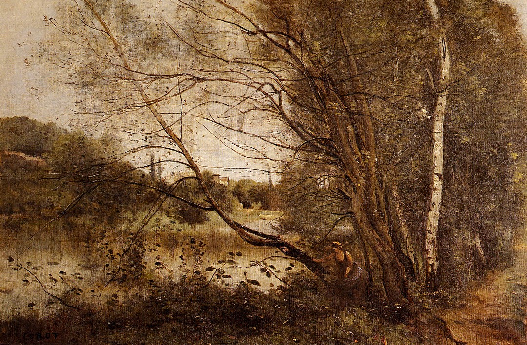 ville_d_avray_arbre_perche.JPG