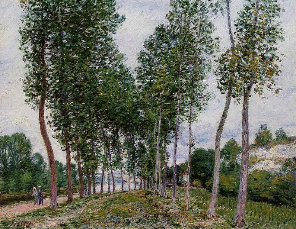 allee_peupliers_loing.JPG