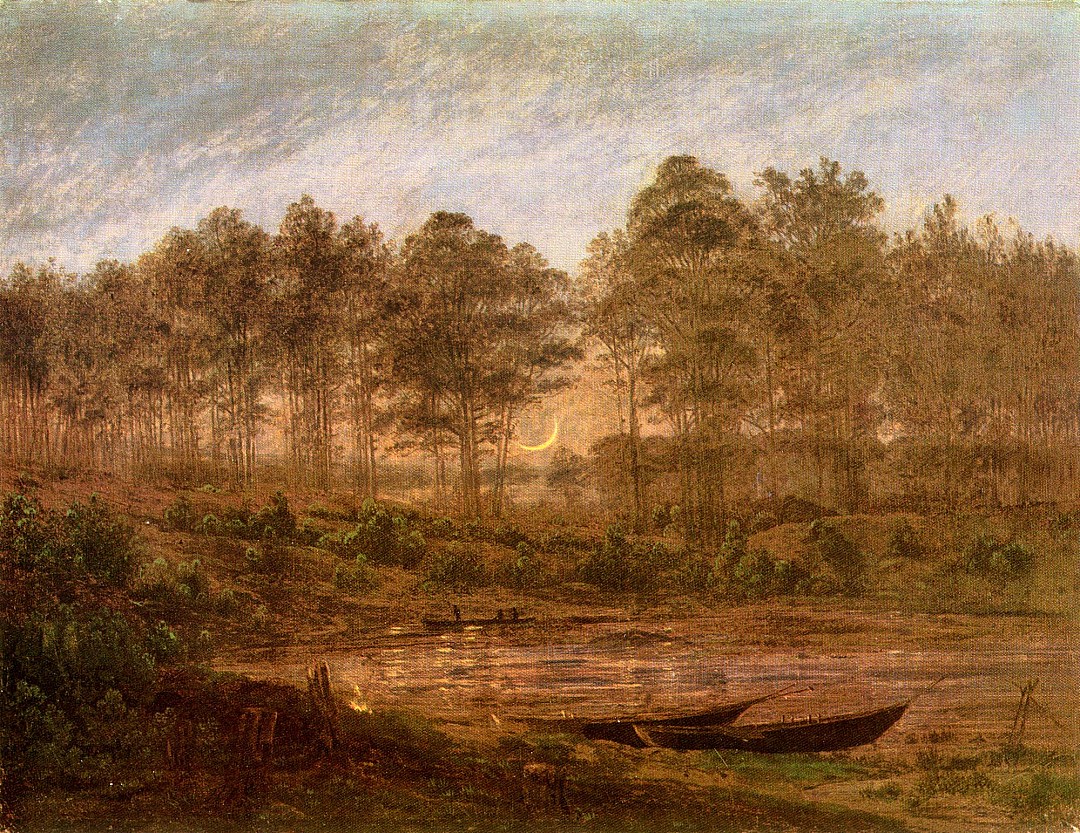pinede_etang.JPG